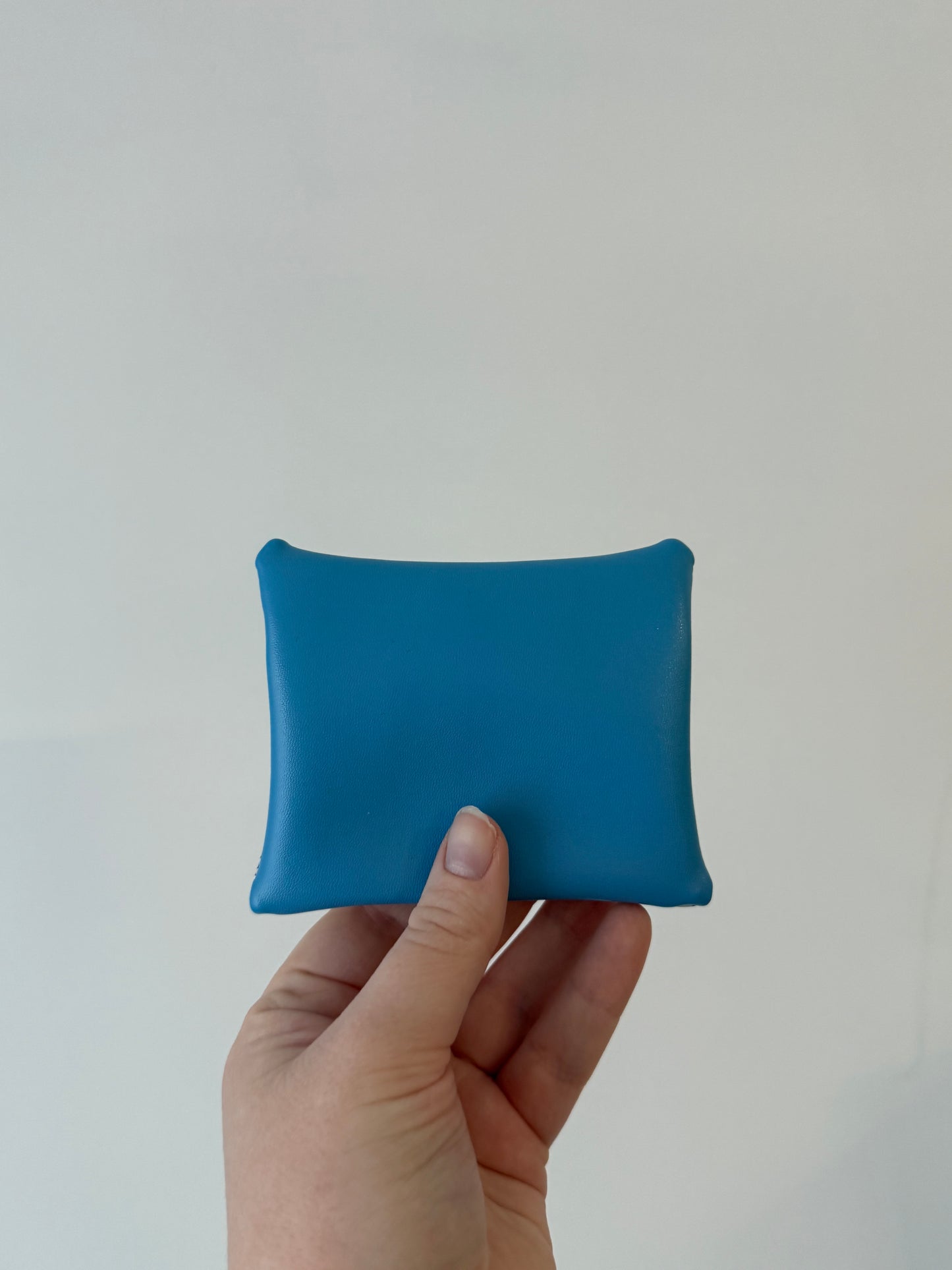 Dinos Coin Purse